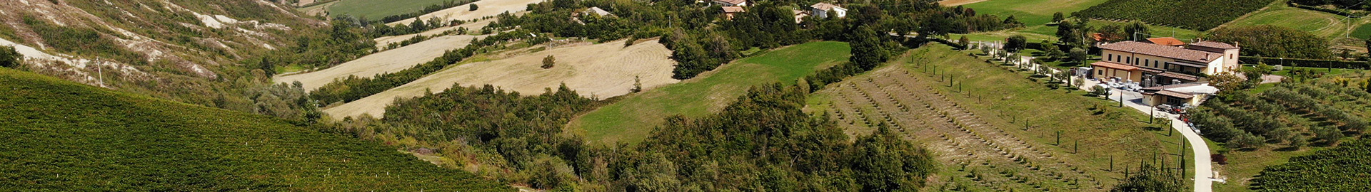 Agriturismo Acetaia Sereni