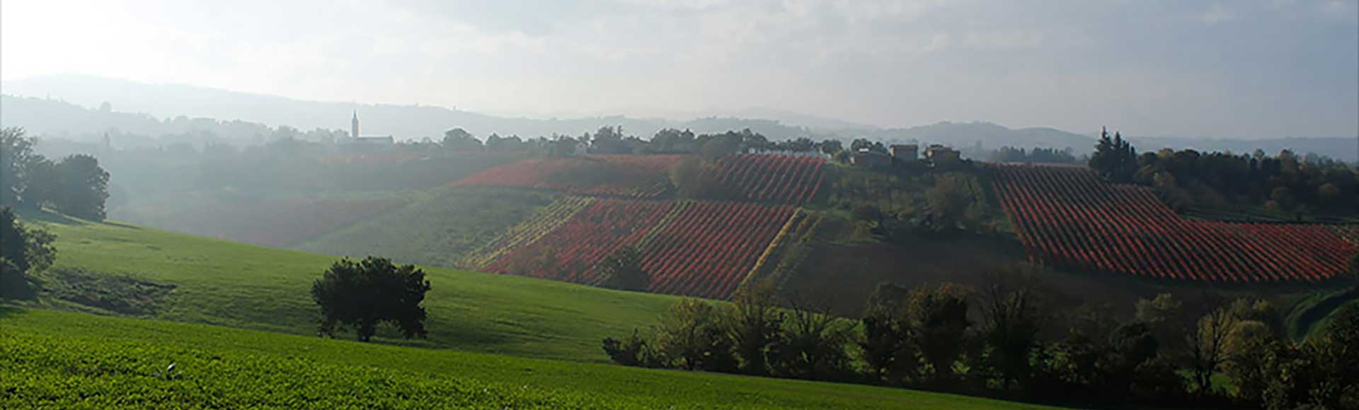 Fattoria Moretto