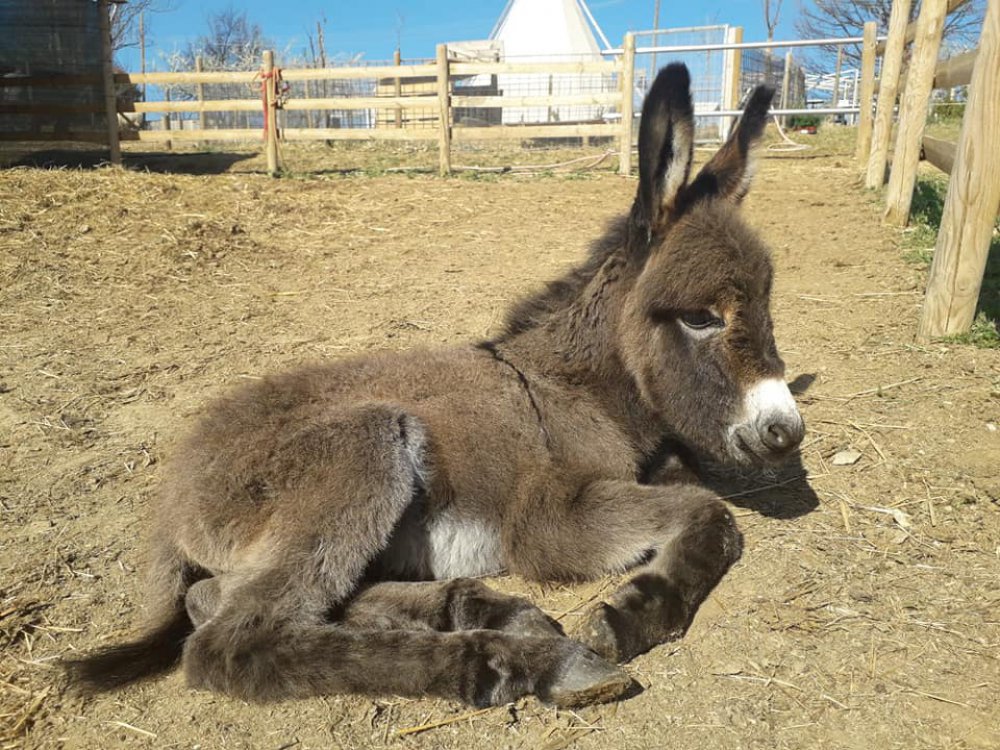 Fattoria Didattica La G.Raffa