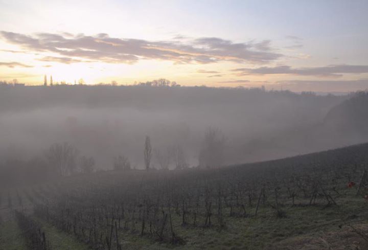 Pederzana - La tenuta