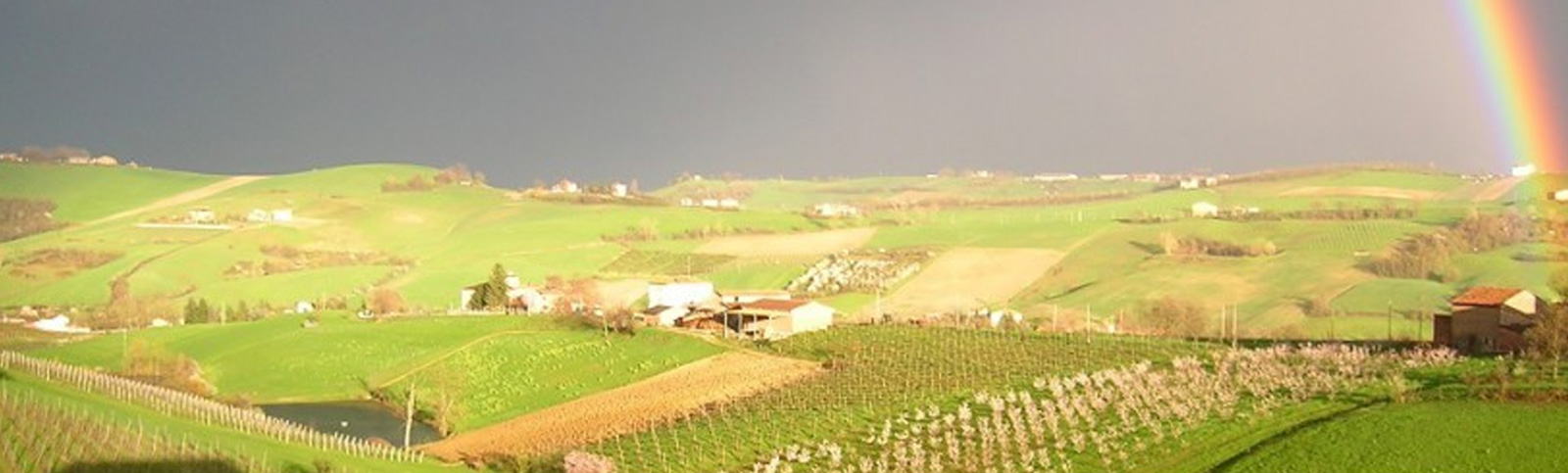 Balugani Roberto