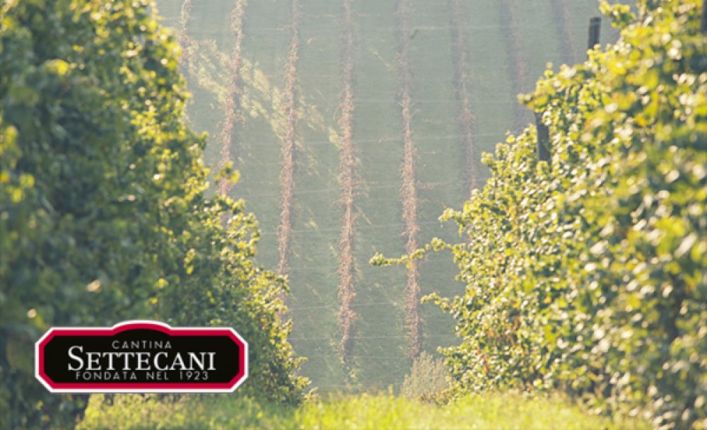Cantina Settecani