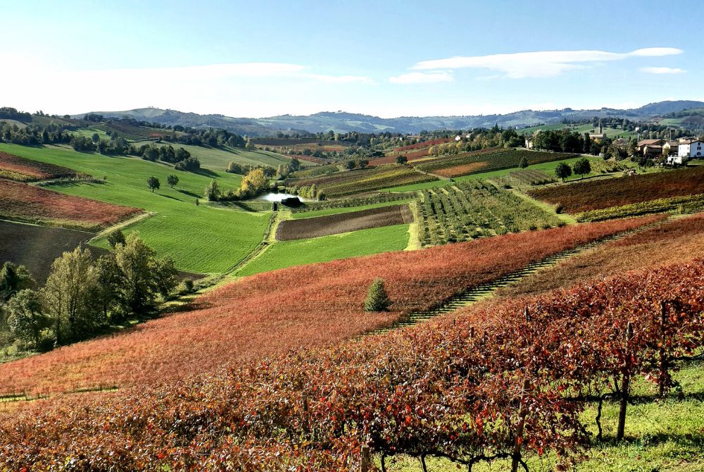 OPERA|02 Agriturismo, ristorante e resort