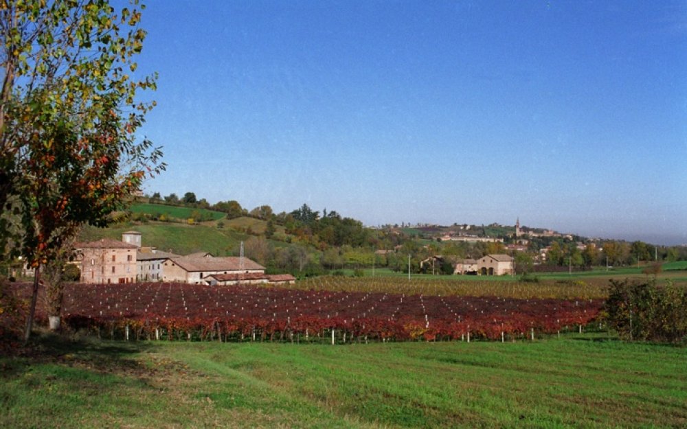 Agriturismo San Polo