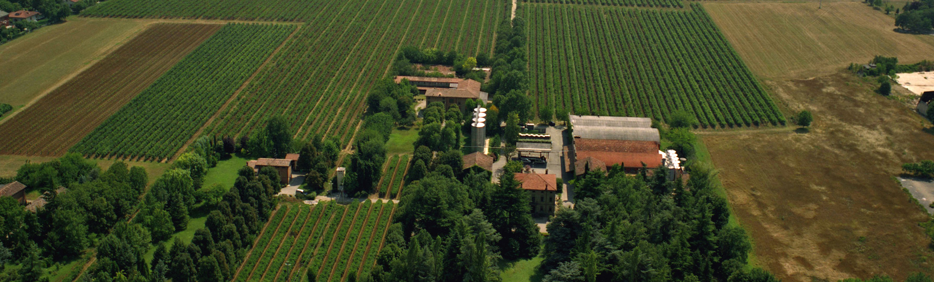 Azienda Agricola Pezzuoli