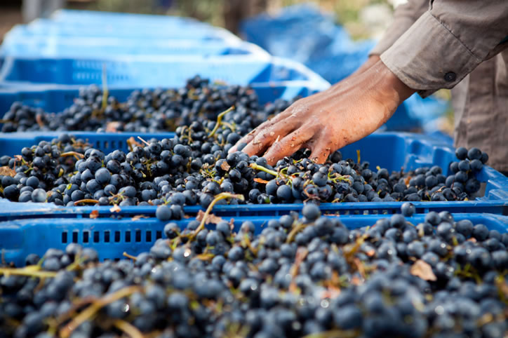 Cantine Riunite & CIV