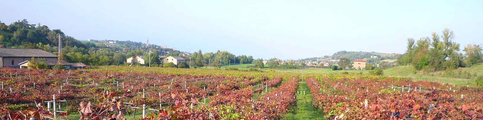 Agriturismo San Polo