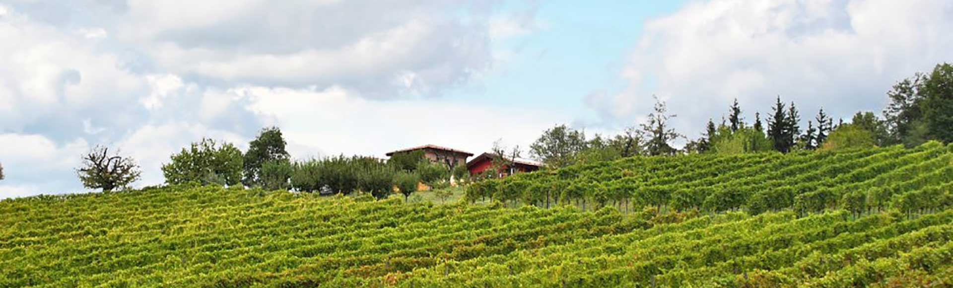 Terraquilia