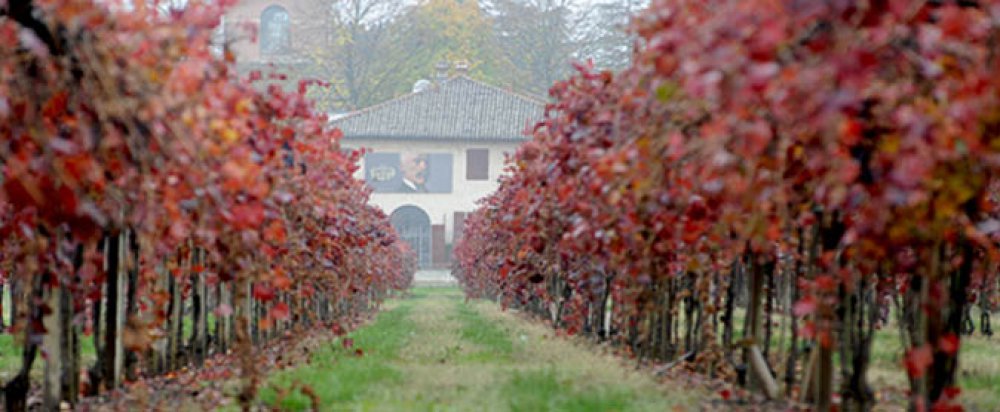 Vigneti Chiarli