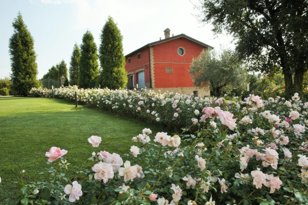 La Vedetta Bed & Breakfast