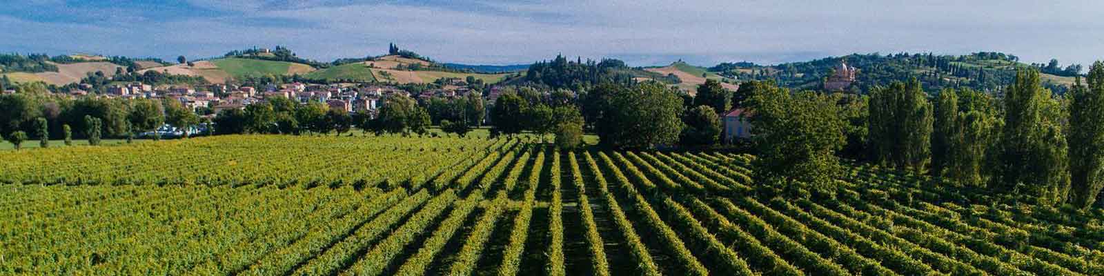 Cantina Formigine Pedemontana