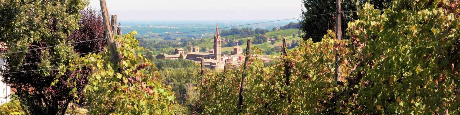 Monte Magico