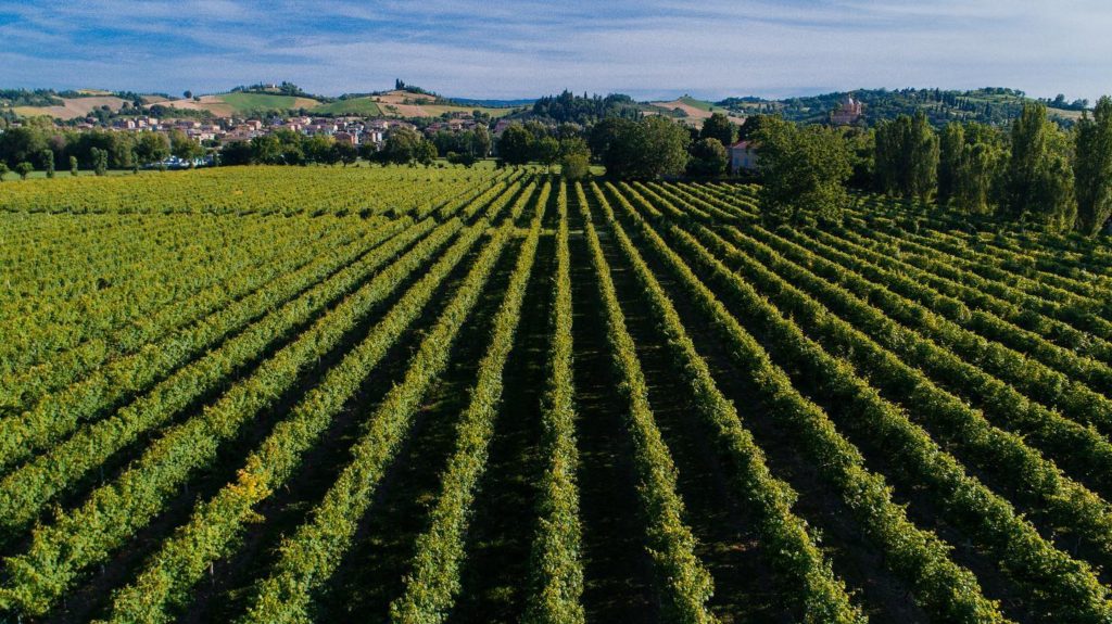 Cantina Formigine Pedemontana