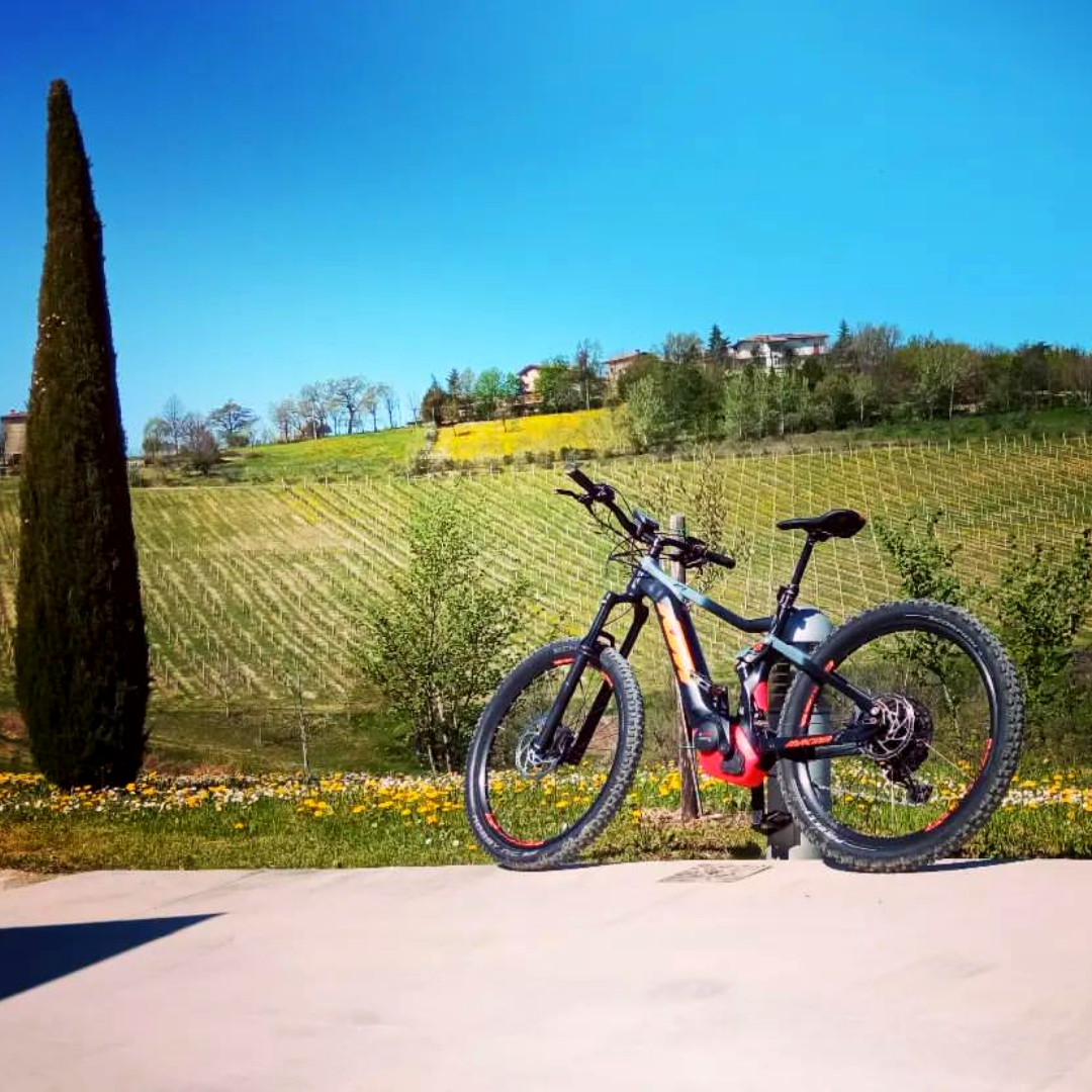 Tour in e-bike tra borghi, colline e Lambrusco Grasparossa - Visit  Castelvetro