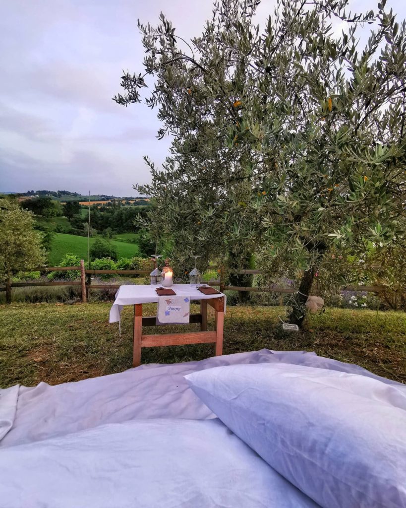 Apericena in uliveto