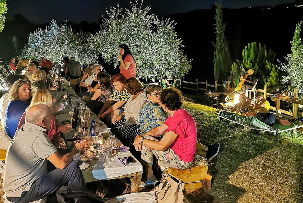 Pic Nic in uliveto