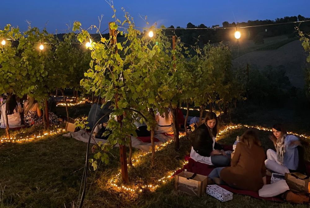 Pic Nic in Vigna