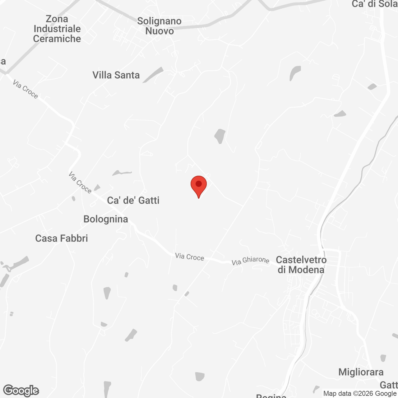 3+Via+Cavalliera+Castelvetro+di+Modena+Provincia+di+Modena+Emilia-Romagna+Italy+41014